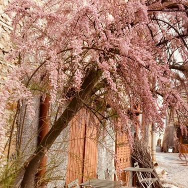 Gite Brin De Nature Au Coeur De La Nature Bugiste Ambérieu-en-Bugey Esterno foto